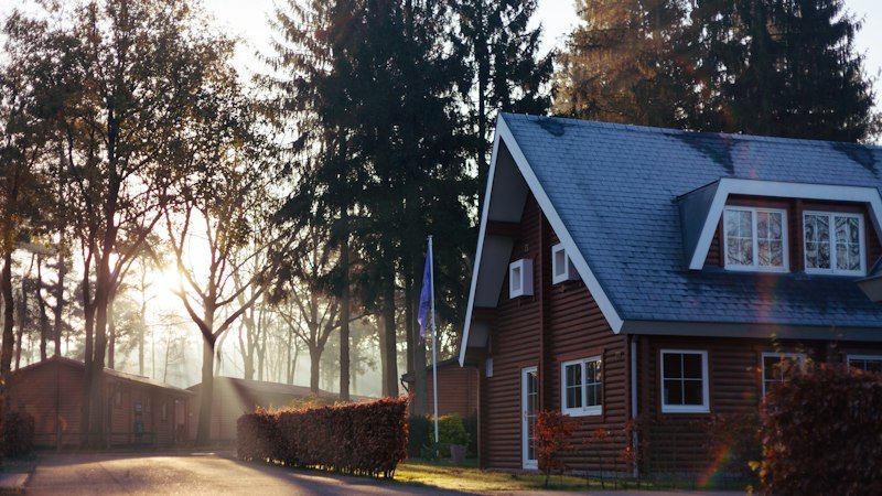 Ridgeline Studio in early light, a small timber building standing among tall trees just below the ridge